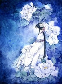 传承者之九彩神石
