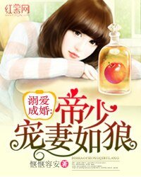 溺爱成婚:帝少宠妻如狼